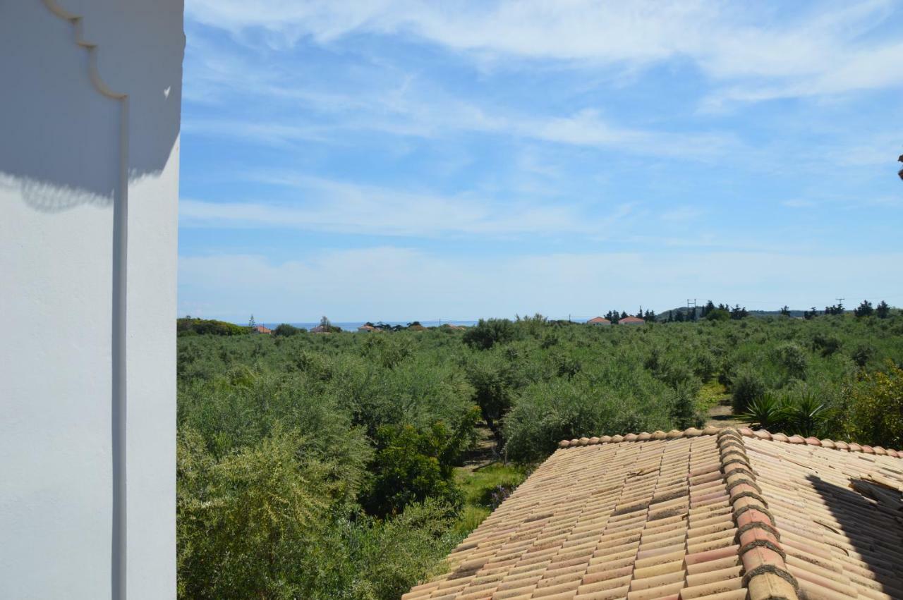Anemona Apartments And Studios Vasilikí 외부 사진